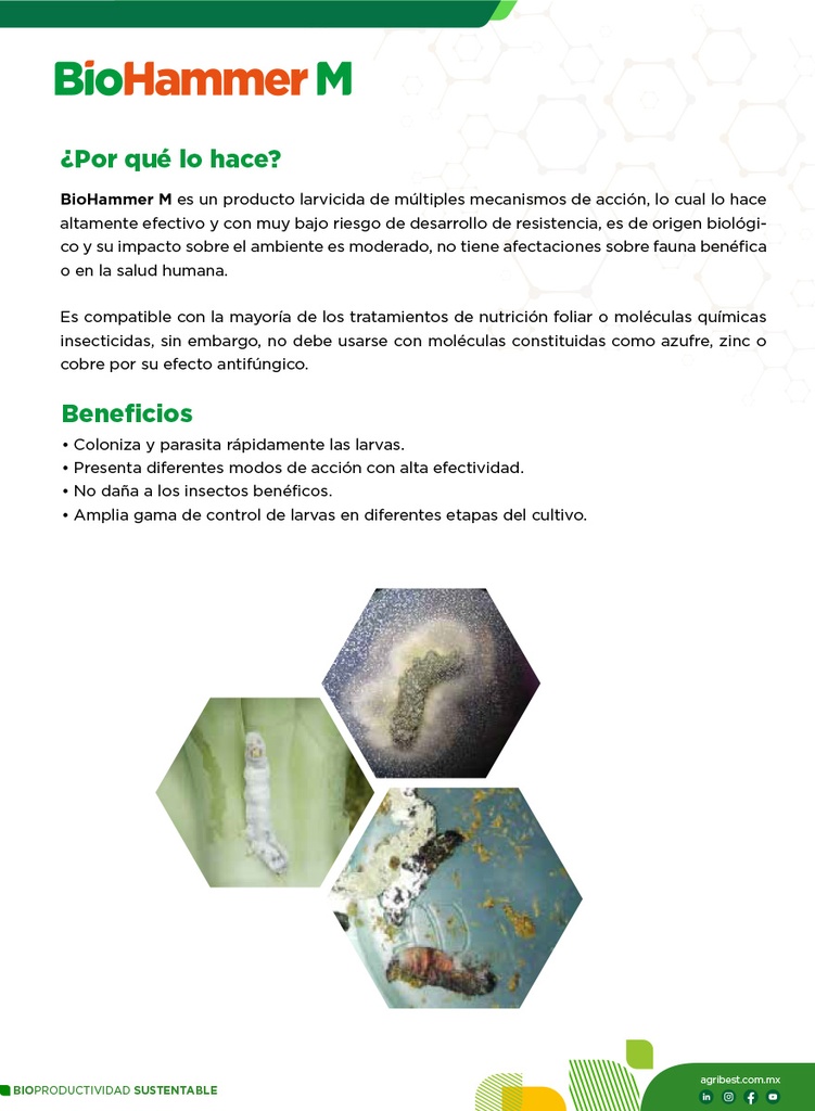 BIOHAMMER M - BOTELLA 1L