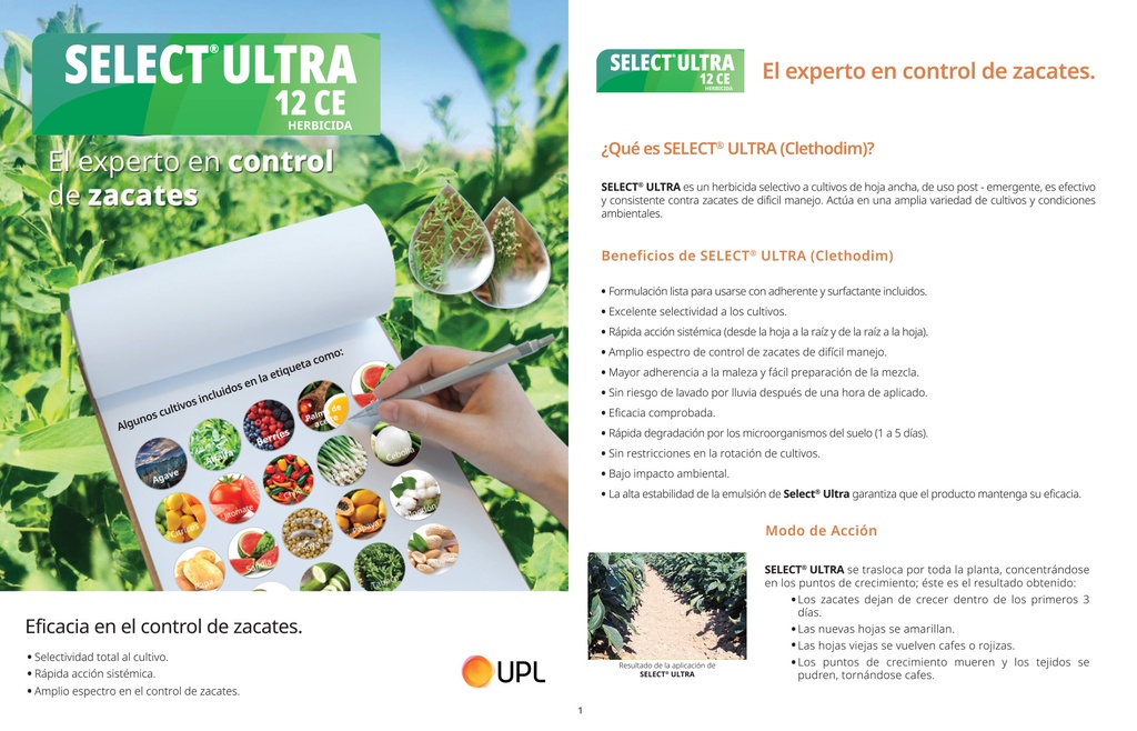 SELECT ULTRA (CLETHODIM) - BOTELLA 500ML