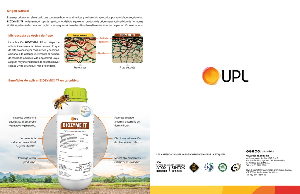 BIOZYME TF - BOTELLA 1L