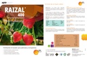 RAIZAL 400 - BOLSA 1 KG