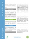 Mejorador N-Algax - 500ml