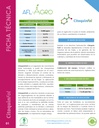 Regulador de Crecimiento Citoquinfol - 20L