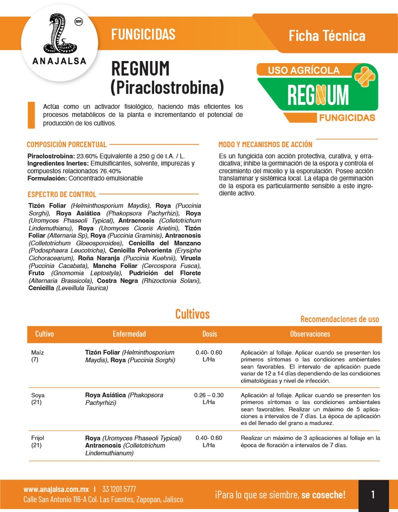 REGNUM (PIRACLOSTROBINA) - 1L