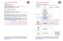 DIABLOSTAR (BIFENTRINA) - 950ML