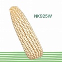 MAIZ NK925W 60MS FDUO