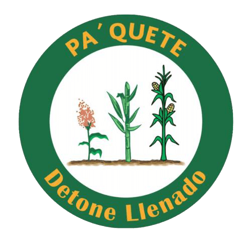 PA'QUETE DETONE LLENADO - KIT