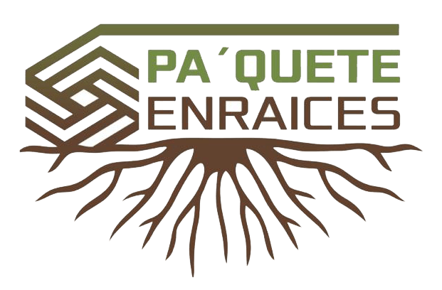PAQUETE ENRAICES - KIT