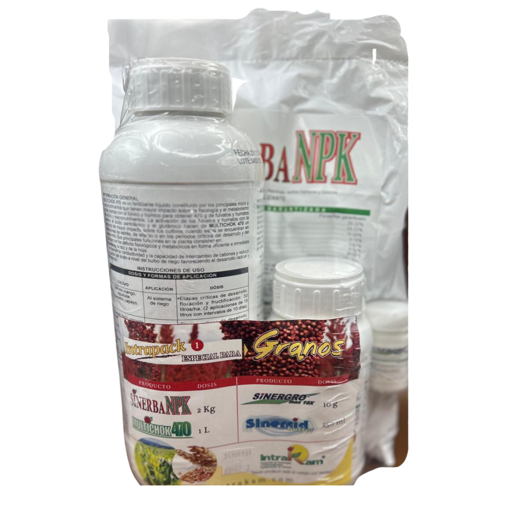 PAQUETE INTRAKAM 1 - DESARROLLO - KIT INTRAPAK 1