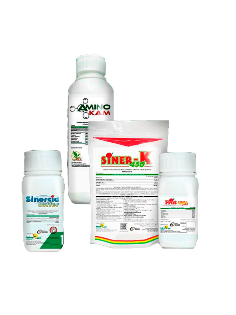 PAQUETE INTRAKAM 2 - LLENADO - KIT INTRAPAK 2