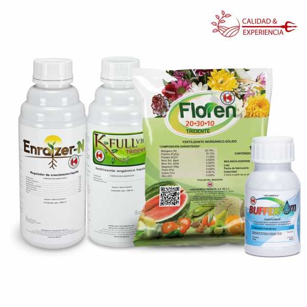 KIT DE ARRANQUE DE MAIZ - TRIDENTE