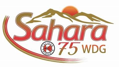 SAHARA 75WDG (TIAMETOXAN) - 200GR