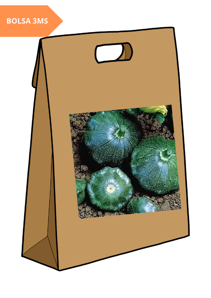 SEMILLA CALABAZA ACONCHADA STARSHIP - BOLSA 3MS