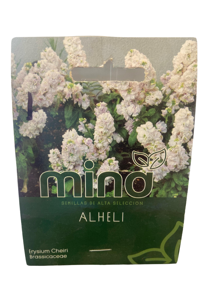 SEMILLAS DE ALHELI (FLORAL) - PIEZA