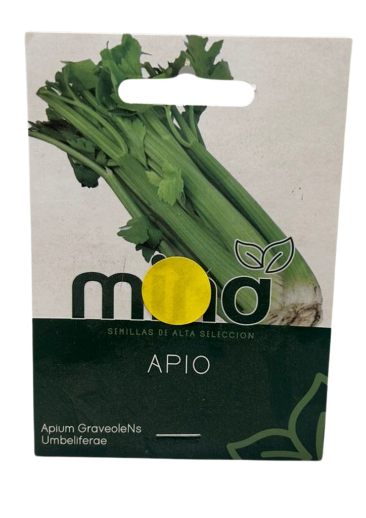 SEMILLAS DE APIO TALLUTAH - PIEZA