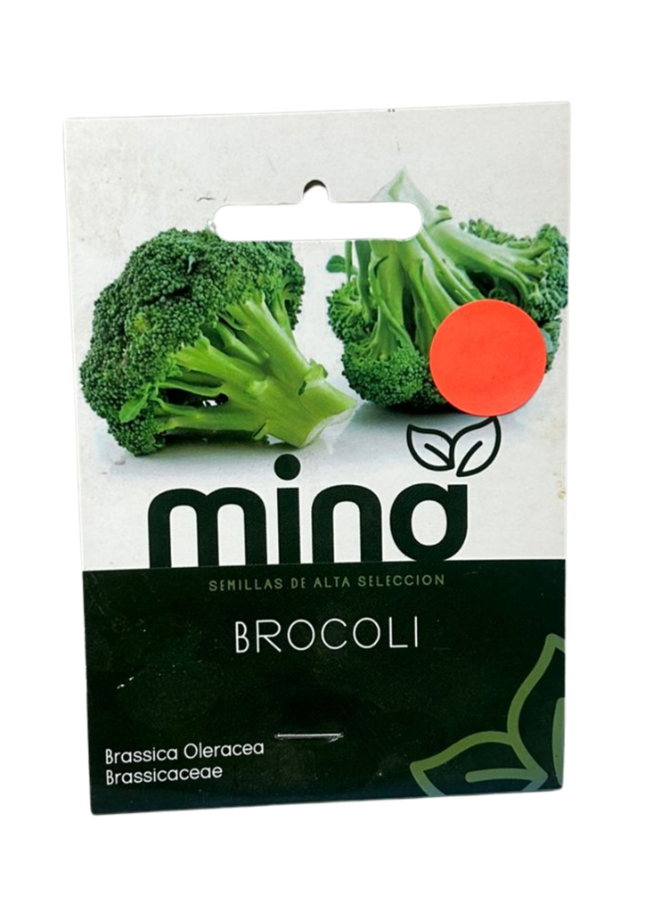 SEMILLAS DE BROCOLI - PIEZA
