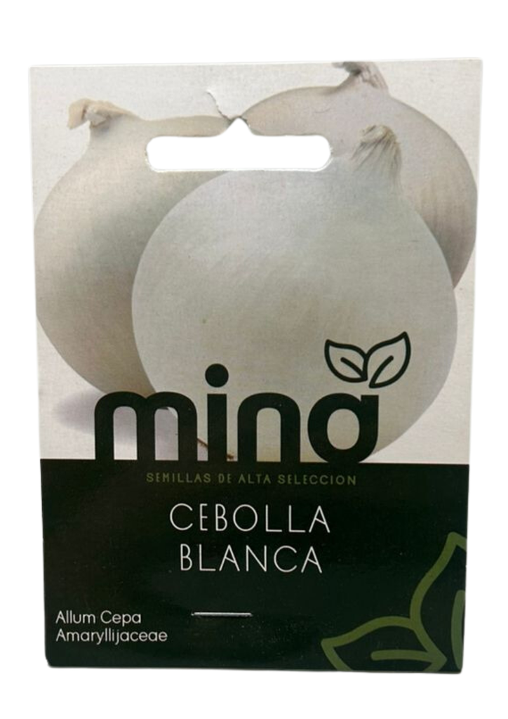 SEMILLAS DE CEBOLLA BLANCA - SOBRE MINA