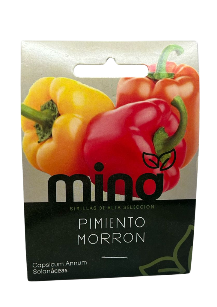 SEMILLAS DE CHILE MORRON - SOBRE MINA