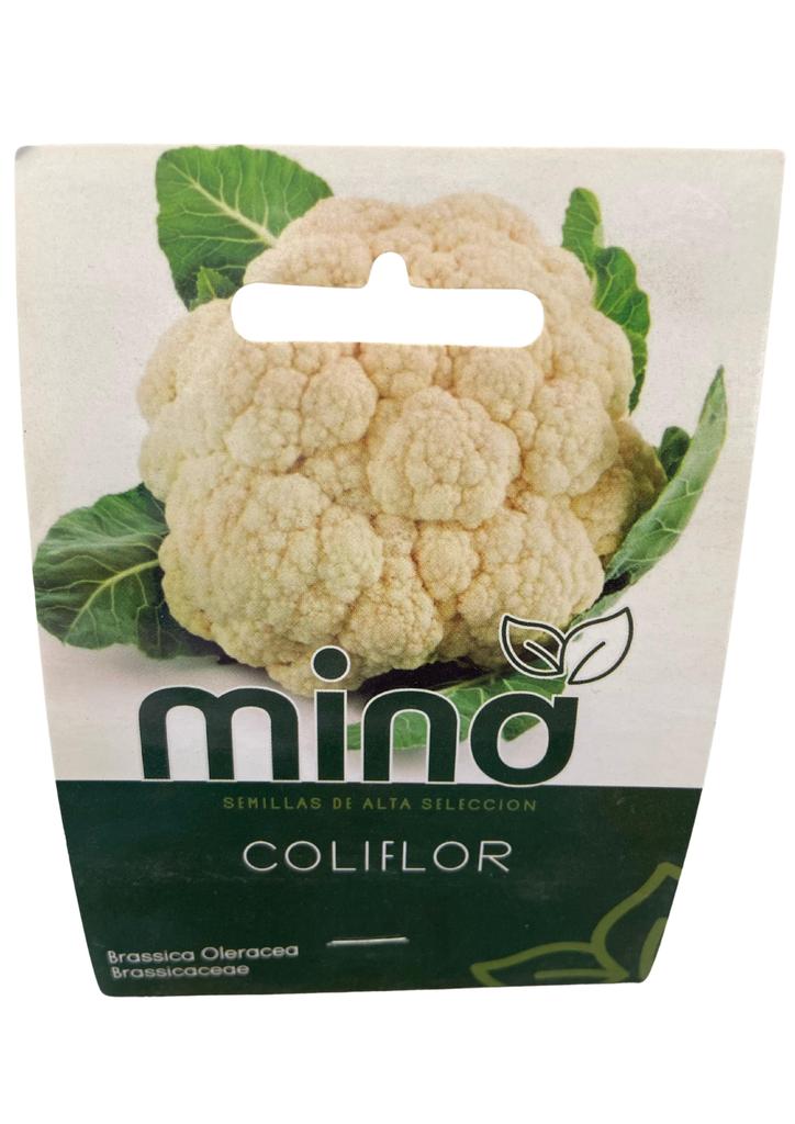 SEMILLAS DE CLOLIFLOR - SOBRE MINA