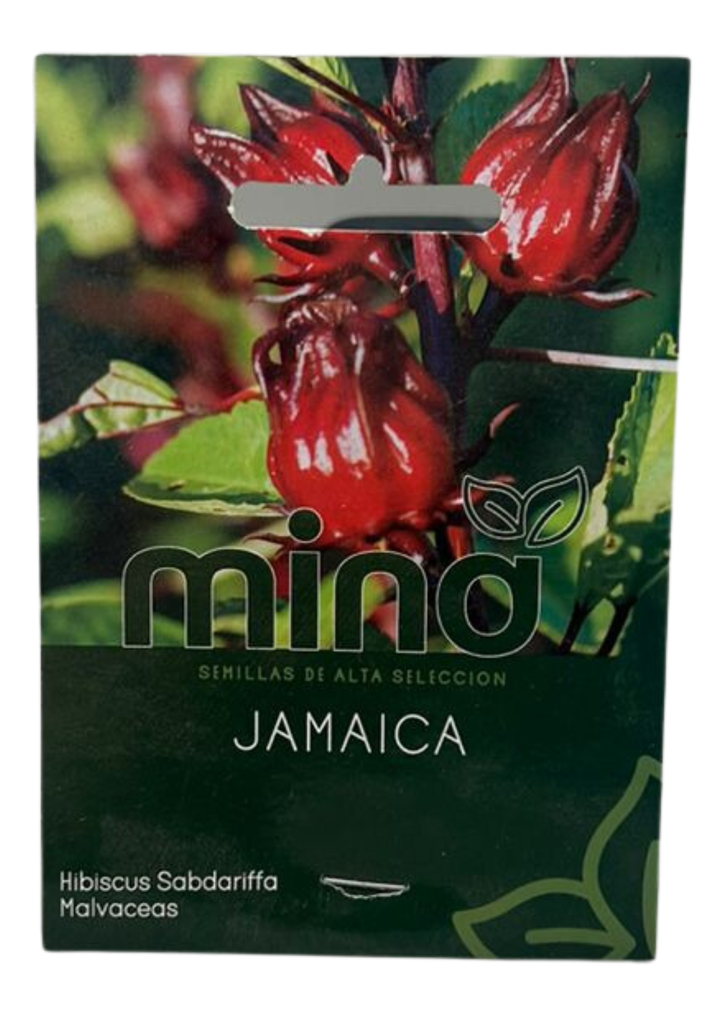 SEMILLAS DE JAMAICA - SOBRE MINA
