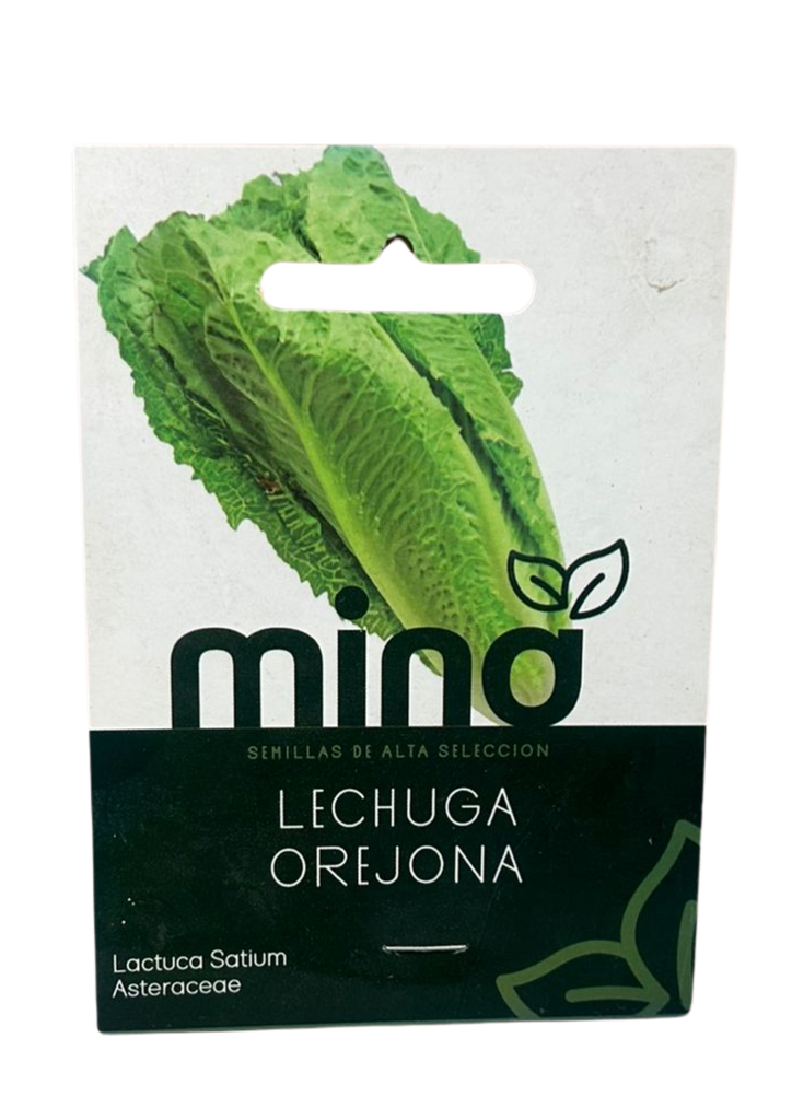 SEMILLAS DE LECHUGA OREJONA - SOBRE MINA