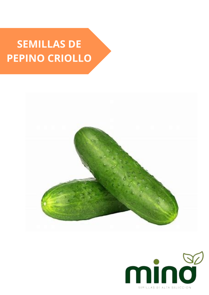 SEMILLAS DE PEPINO CRIOLLO - SOBRE MINA