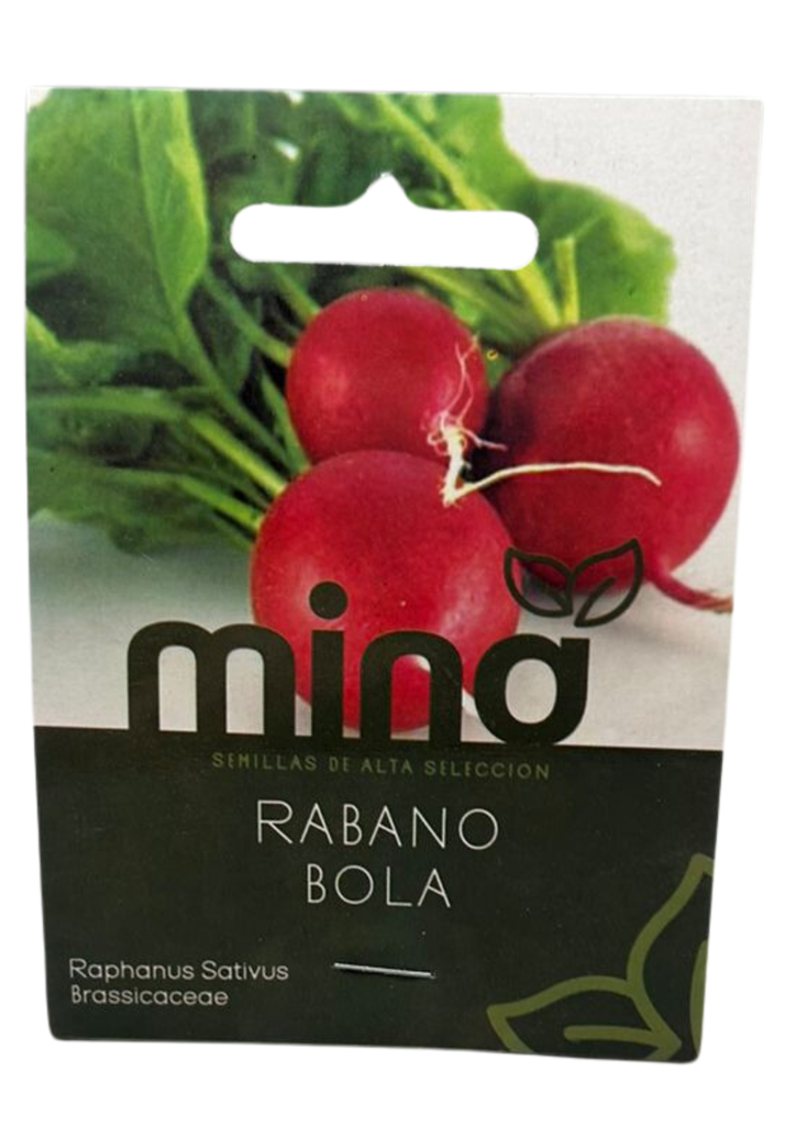 SEMILLAS DE RABANO BOLA - SOBRE MINA