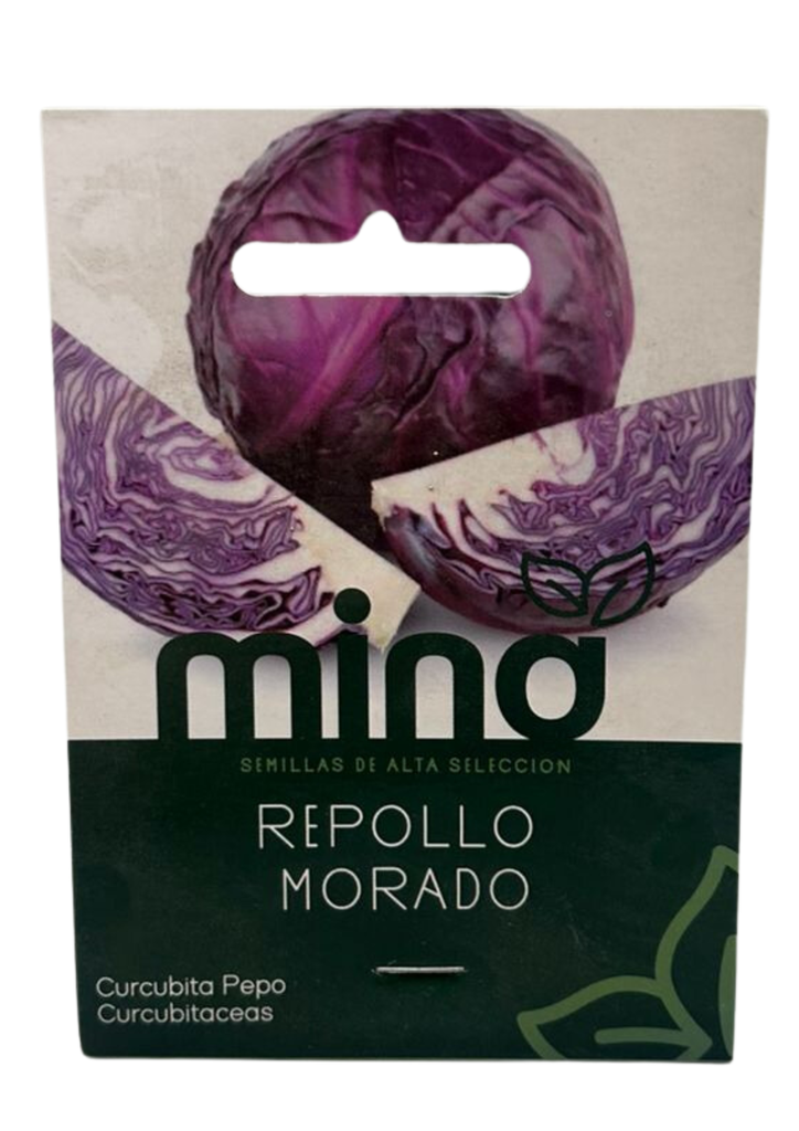 SEMILLAS DE REPOLLO MORADO - SOBRE MINA
