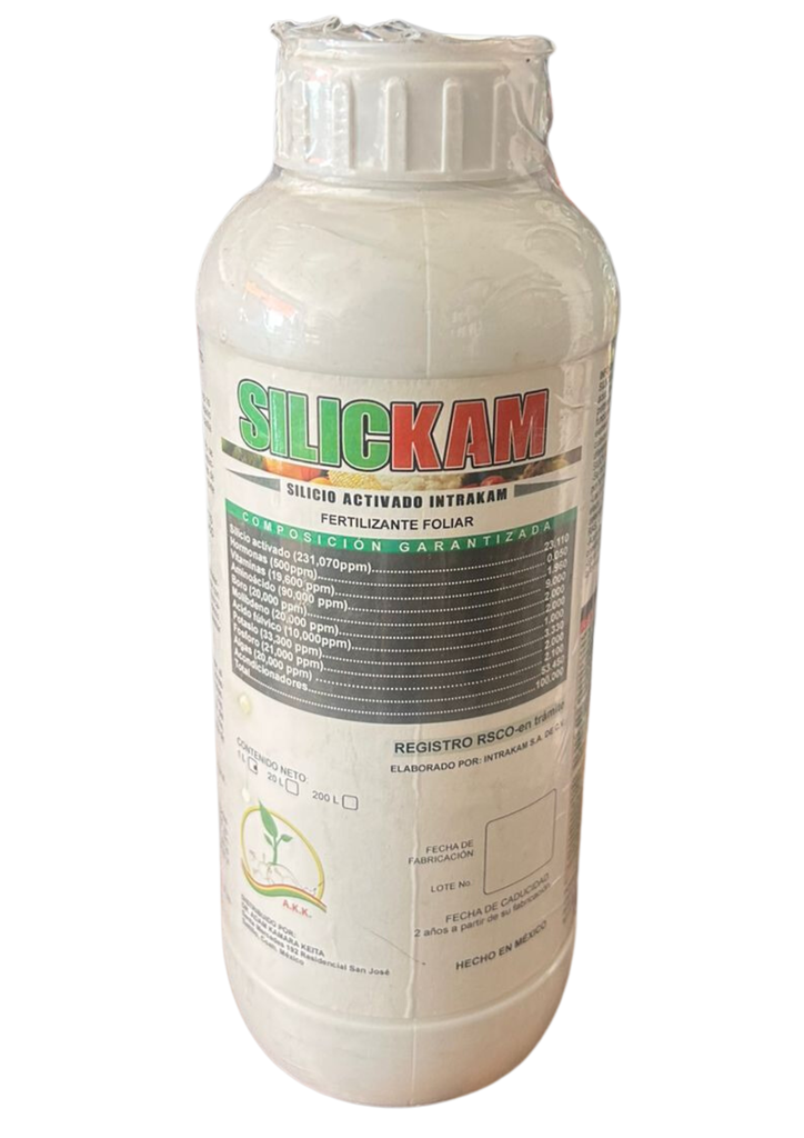 SILICKAM (SILICIO) - 1L