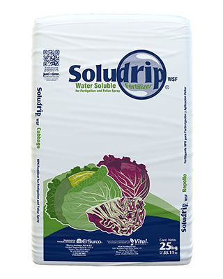 SOLUDRIP REPOLLO 2 (19-10-7) - 25KG