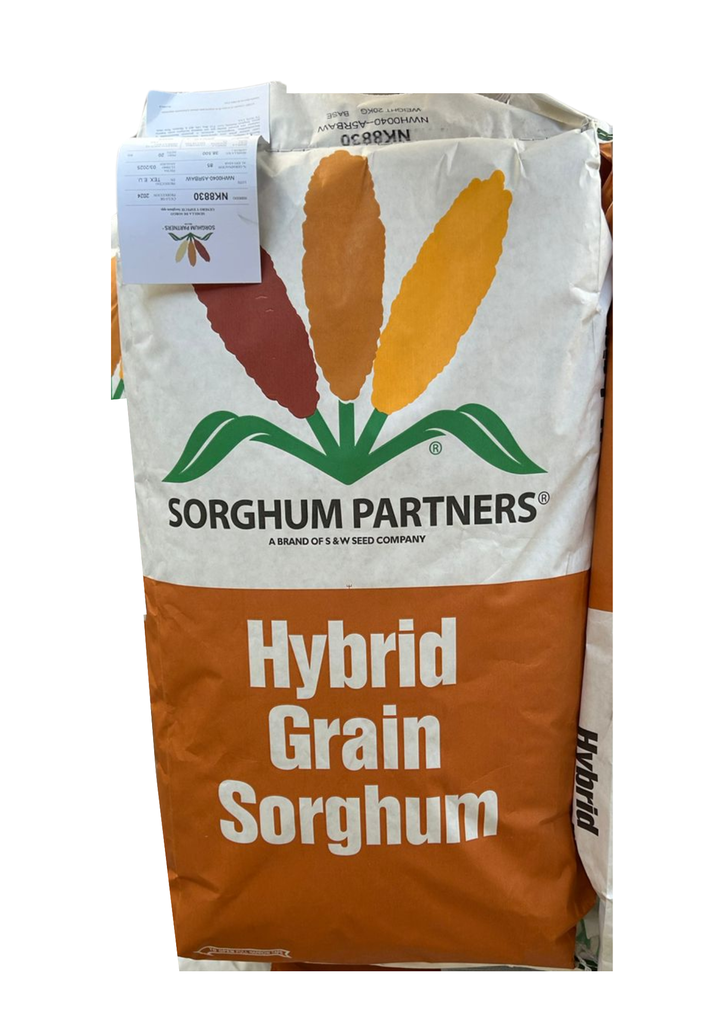 SORGO NK8830 ANTIPAJARO - SACO 20 KG