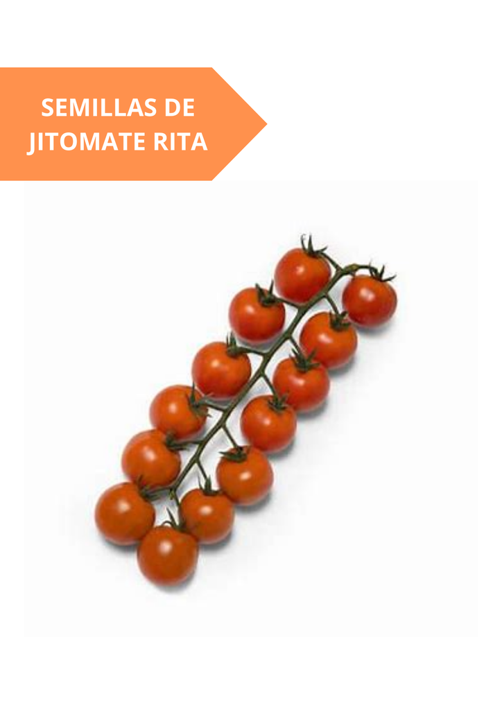 SEMILLAS DE JITOMATE RITA - SOBRE 5,000 SEMILLAS