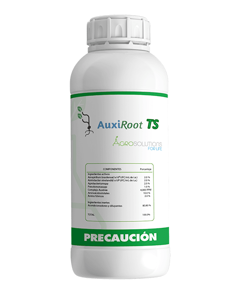 INOCULANTE AUXIROOT TS - 1L