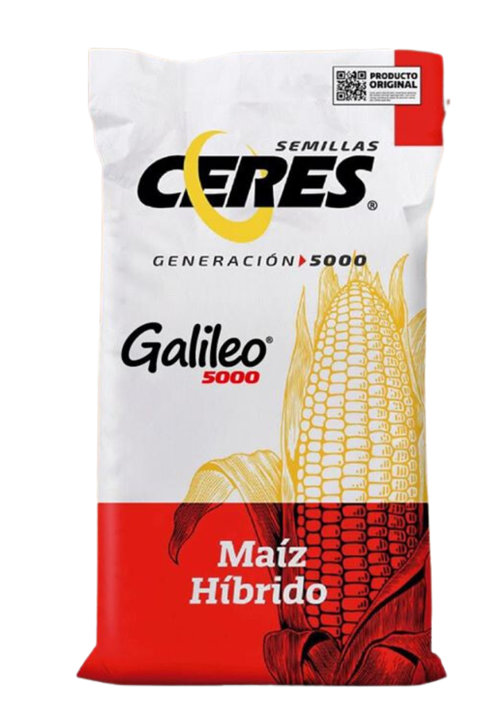 MAIZ GALILEO C/CRUISER MAXX - GRANEL