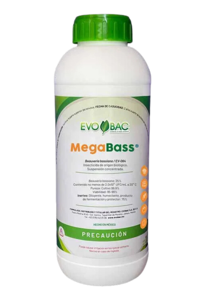 MEGABASS (BEAUVERIA BASSIANA) - 1L