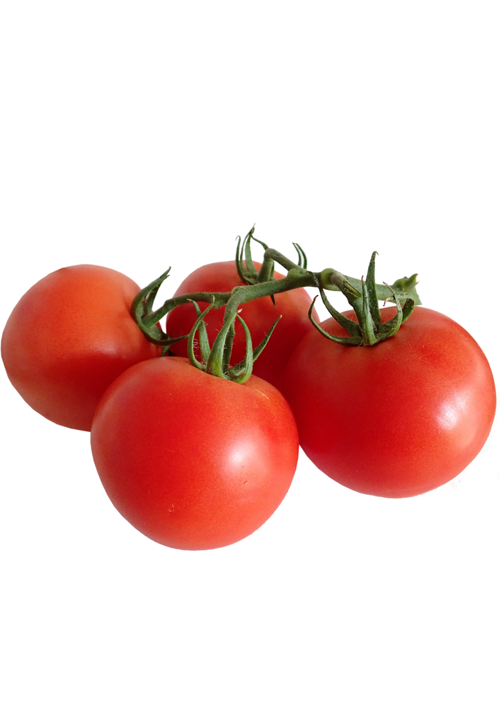 SEMILLA JITOMATE ZHOE 1M (KING)