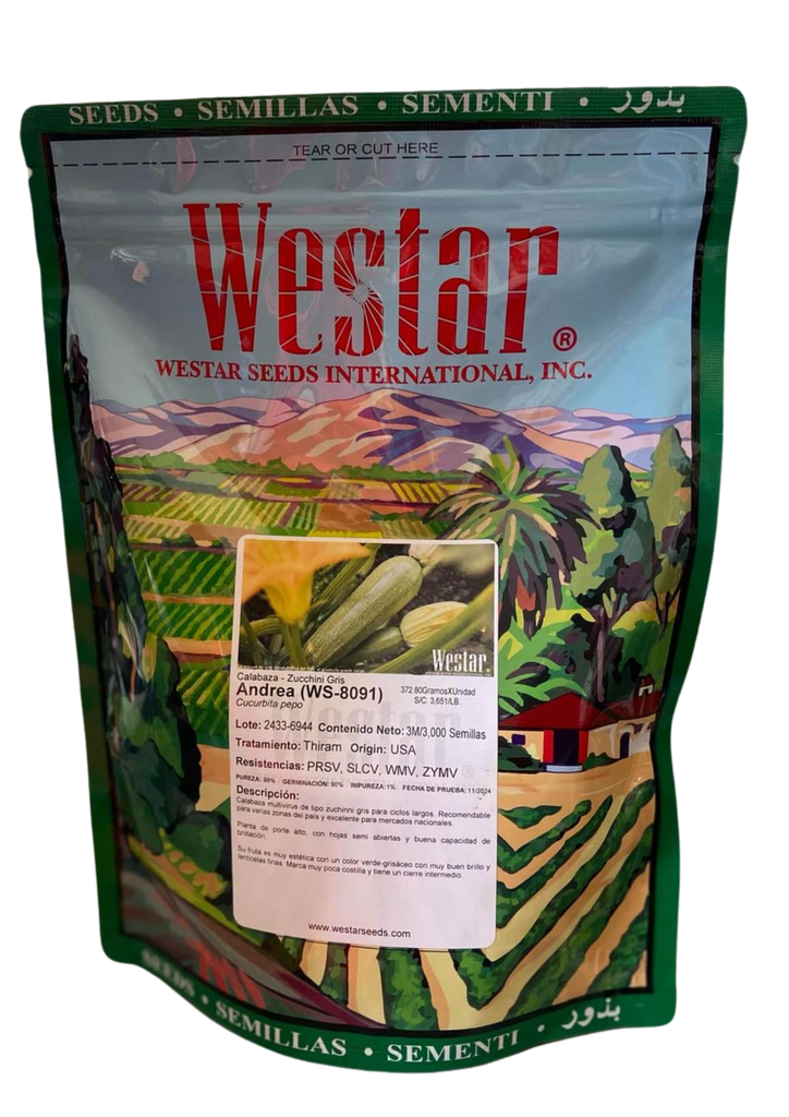 SEMILLA CALABAZA ANDREA 3MS (KING)