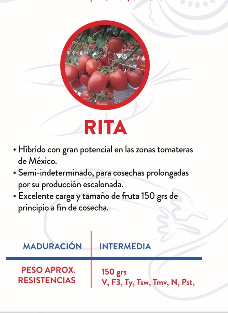SEMILLA JITOMATE RITA 5MS (KING)