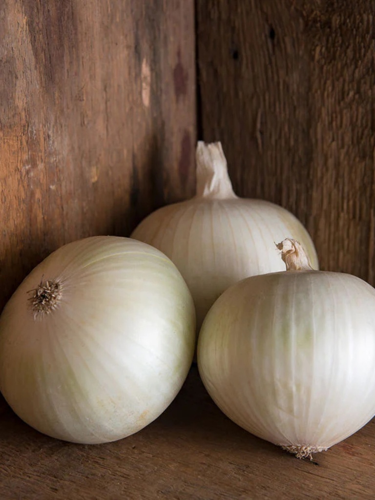 SEMILLA DE CEBOLLA SIERRA BLANCA - KILO