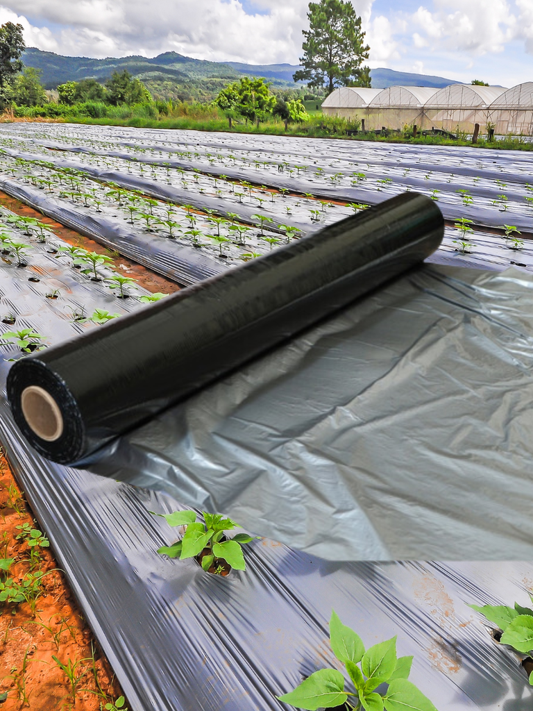 ROLLO DE ACOLCHADO NEGRO/PLATA 1.40 MT X 915 MT CAL 80 PERFORADO 1 LINEA 35CM