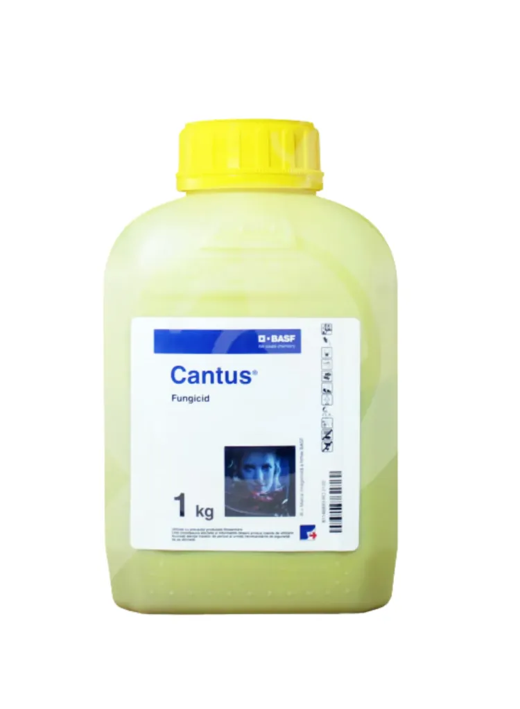 CANTUS - BOLSA 1 KG