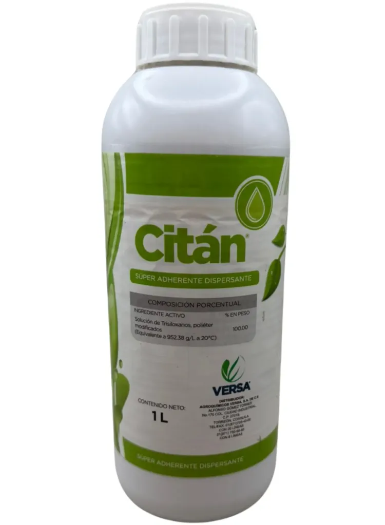 CITAN (VERSA) - 1L