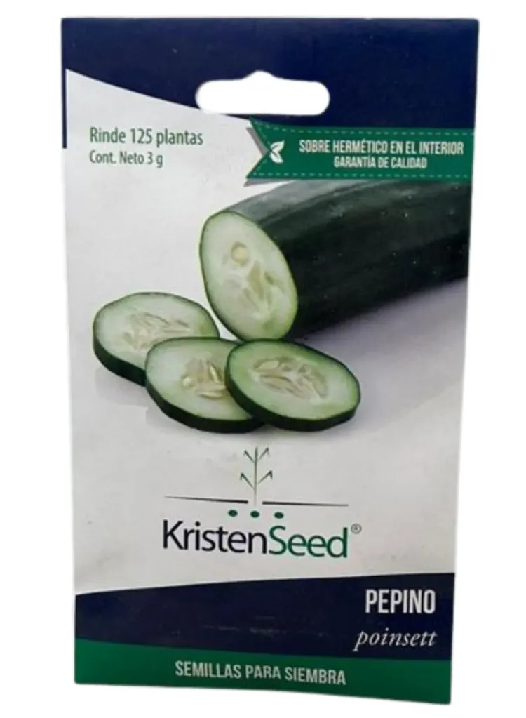 PEPINO PONSETT - 3G PIEZA- KRISTEN SEED