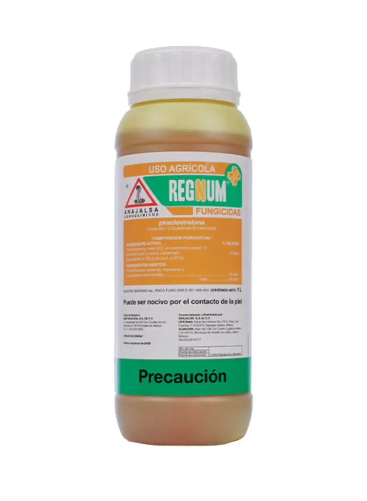 REGNUM (PIRACLOSTROBINA) - 1L