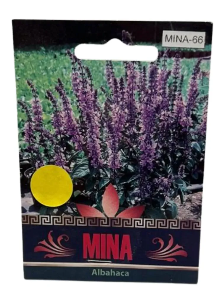 SEMILLAS DE ALBAHACA - SOBRE MINA