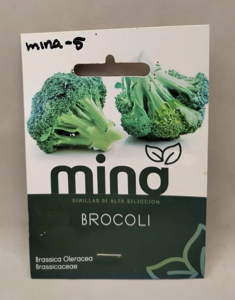 SEMILLAS DE BROCOLI - PIEZA