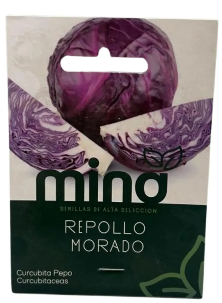 SEMILLAS DE REPOLLO MORADO - SOBRE MINA