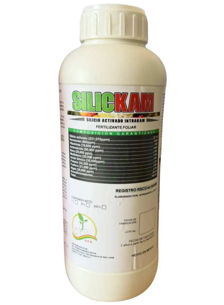 SILICKAM (SILICIO) - 1L