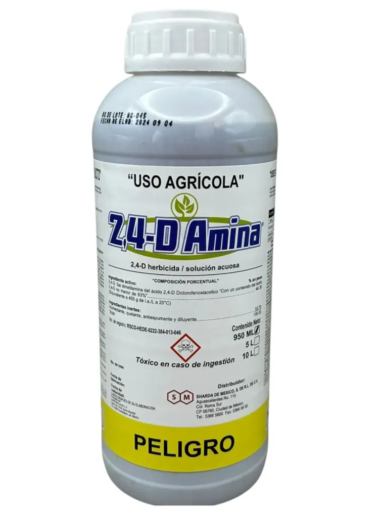 AMINA SHARDA - 1L