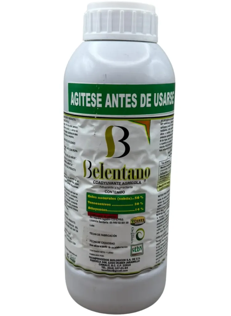 BELENTANO - 1L
