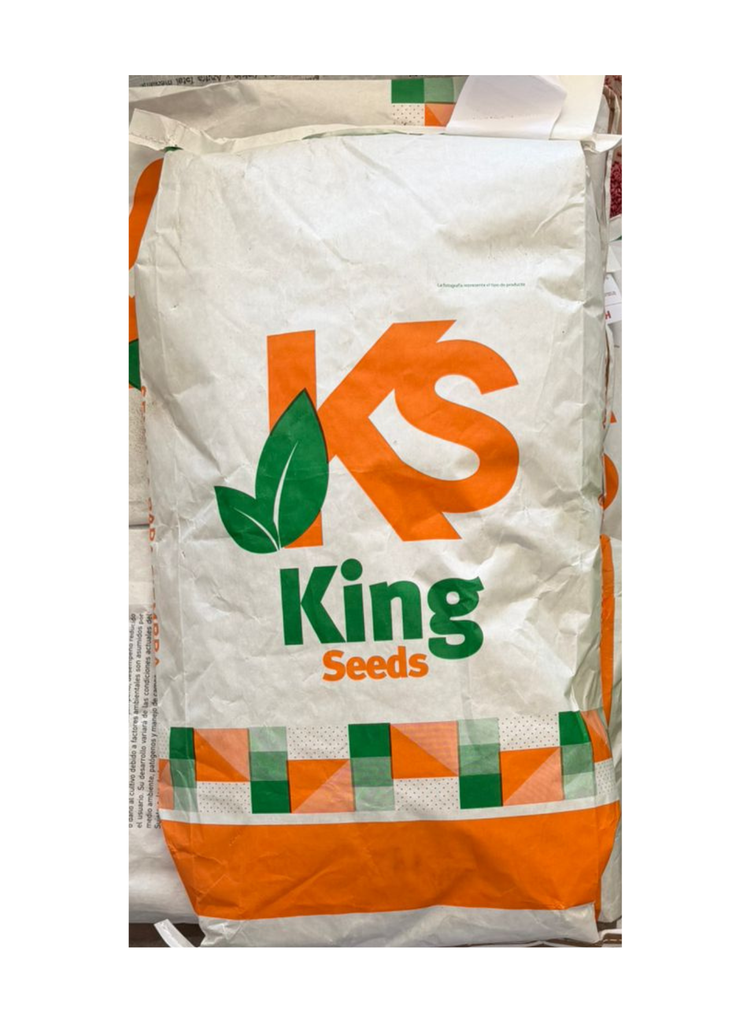 SEMILLA ALFALFA SAN MIGUELITO PELLETIZADA KING SEEDS - 20KG